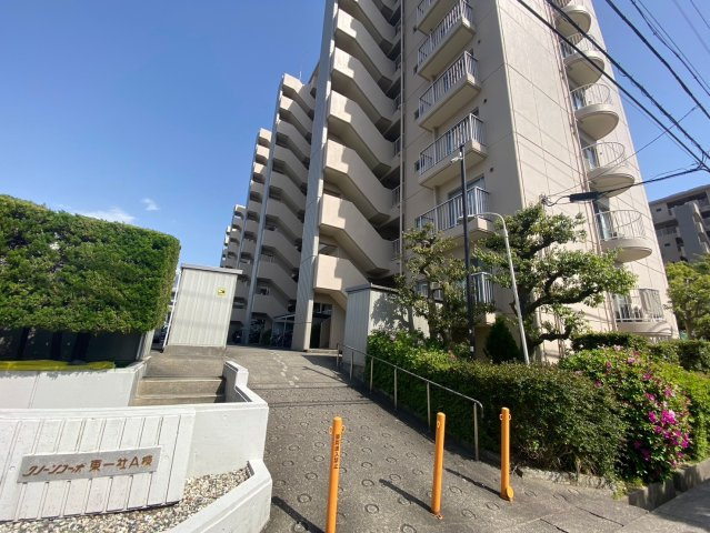 グリーンコーポ東一社A棟の現況写真|マンション入口には緑があり、季節の移り変わりを感じられますね♪