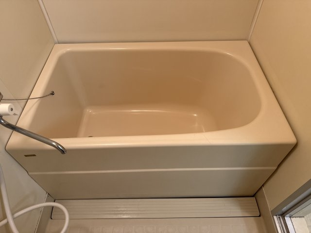 ロワイヤル北八代の浴室