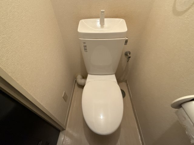 ロワイヤル北八代のトイレ