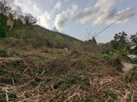 広島市佐伯区湯来町大字伏谷字倉谷　土地の画像