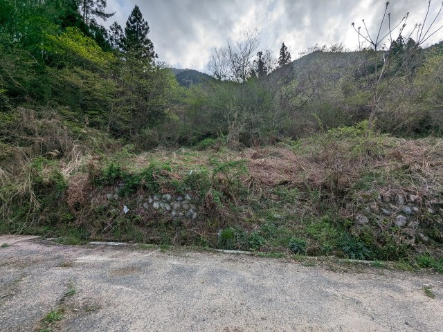 広島市佐伯区湯来町大字伏谷字倉谷　土地の外観