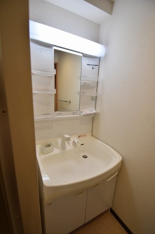 シャルマンフジ大阪城南の洗面所