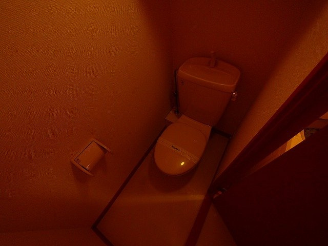 レオパレスＢｌｏｓｓｏｍのトイレ|落ち着いたトイレです