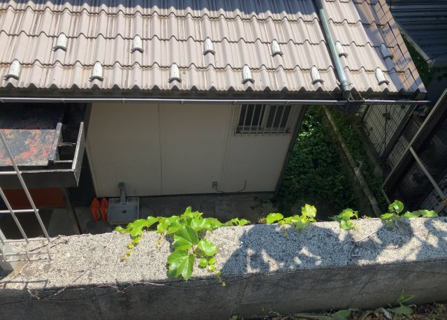 【庭】 | 庭のある家に住むことのメリットとして、子どもたちの遊び場を確保できること、ガーデニングや家庭菜園を楽しめること、明るさを確保できることがあります。また、配置を工夫することでプライバシーが確保できます。