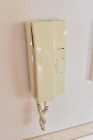 大阪市城東区野江２丁目の賃貸マンションのセキュリティ
