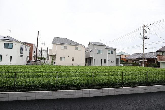 ALVA.bの展望