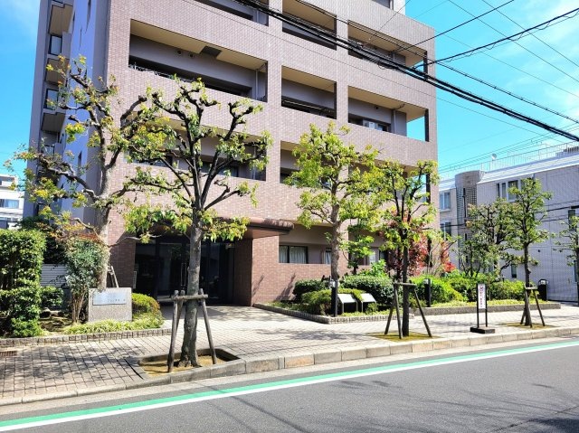 サンメゾンプレ・ボヌールのエントランス|植栽もきれいに管理されており、明るいエントランスです。