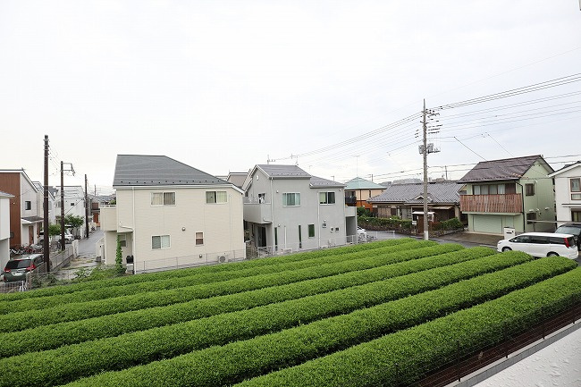 ALVA.bの展望