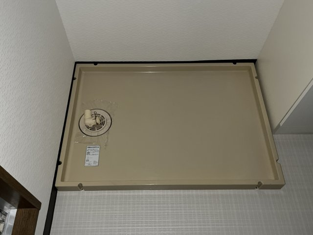 AG　MEGA堂本のその他