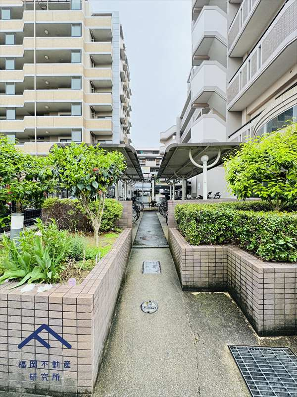 アムール板付6の展望