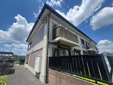 MT・桜木の画像