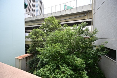 【展望】 | メインステージ麻布十番Ⅱ | 2024/07/13撮影