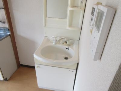 ハイツグロースの洗面所|シャンプードレッサー