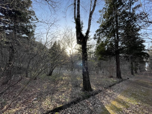 郡山市湖南町浜路字平林　売地　資材置き場用地