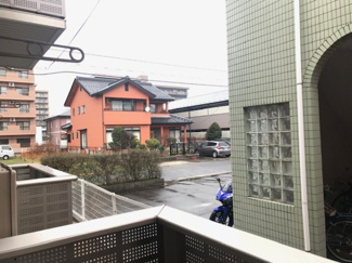 【展望】 | 19papas
