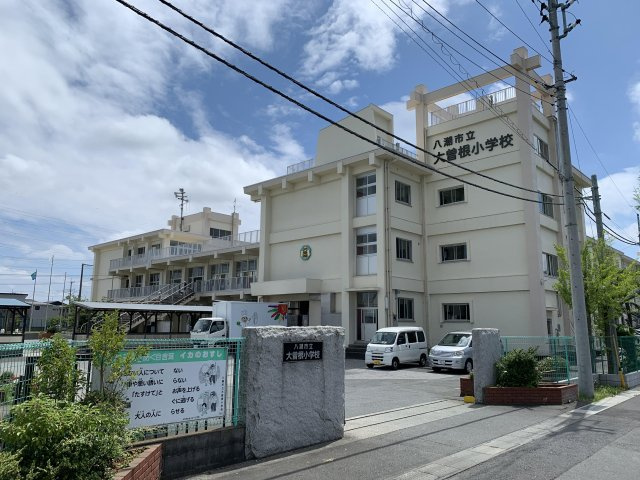 八潮市大曽根新築戸建（大曽根第20）の周辺|大曽根小学校まで1000ｍ