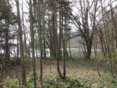 【外観】 | 小坂町十和田湖字大川岱・土地