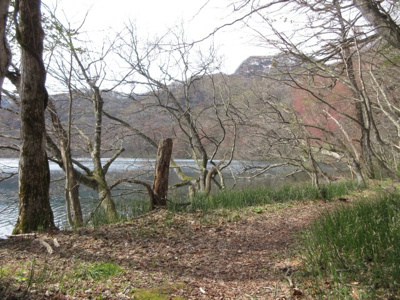 【外観】 | 小坂町十和田湖字大川岱・土地