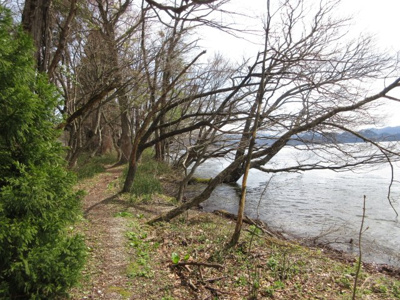 【外観】 | 小坂町十和田湖字大川岱・土地
