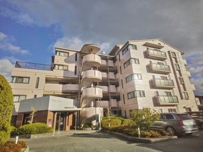 【その他】 | パープルソシア