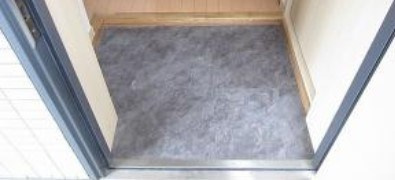 シエスタ高円寺の玄関