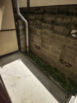 【バルコニー】 | まるきハイツ東大利 | 陽当たり良好なバルコニーです