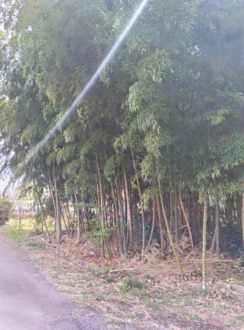 真岡市寺内の周辺