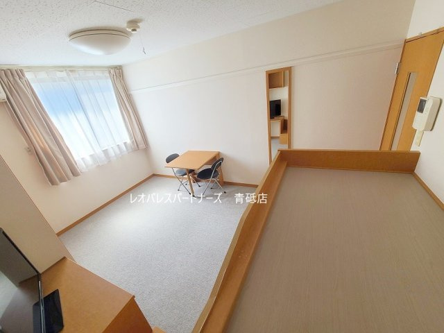  | フィオローナ | 参考写真：107～タイプ