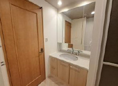 【独立洗面台】 | スターシティ・フォルトゥーナ