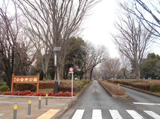 公園