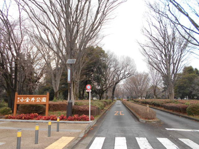 公園