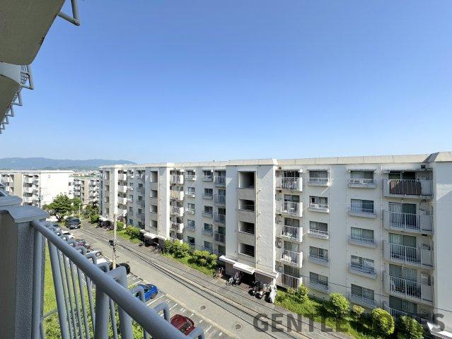 野間台住宅の展望