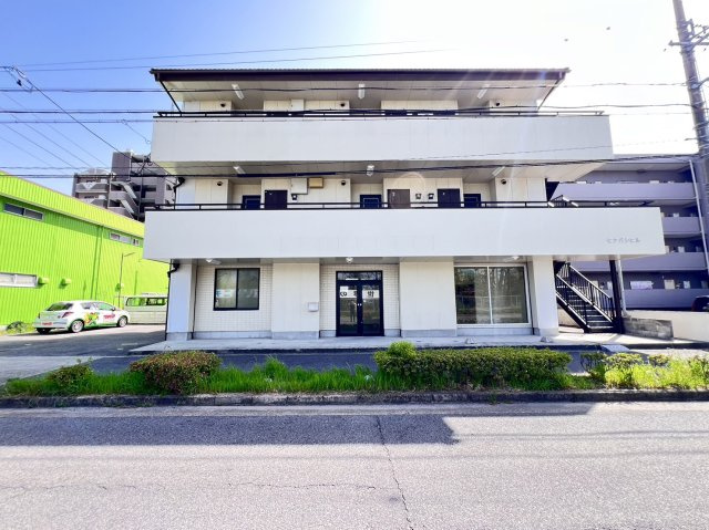 ヒナバシヒルの外観