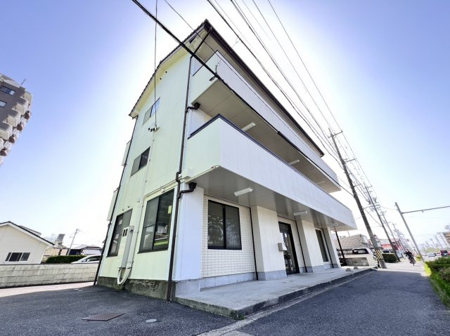 ヒナバシヒルの外観