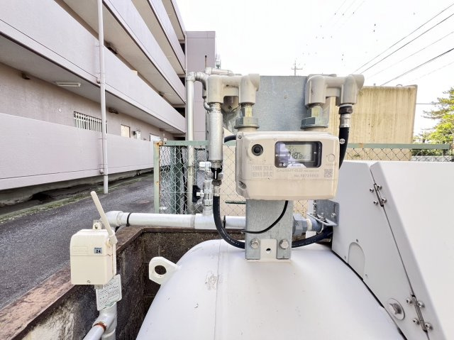 ヒナバシヒルのその他