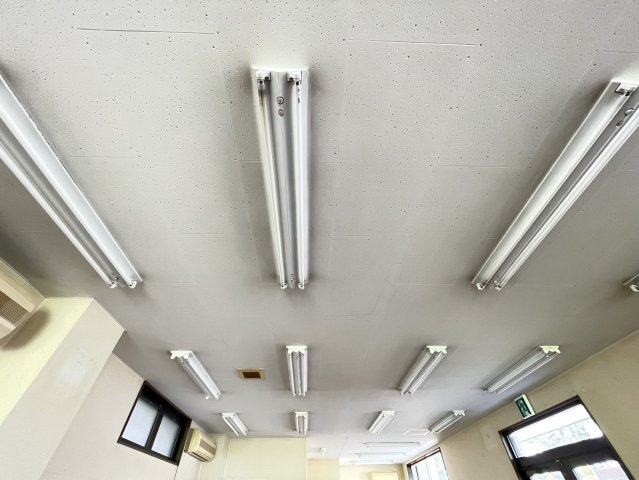 ヒナバシヒルのバルコニー