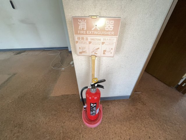 ヒナバシヒルの玄関