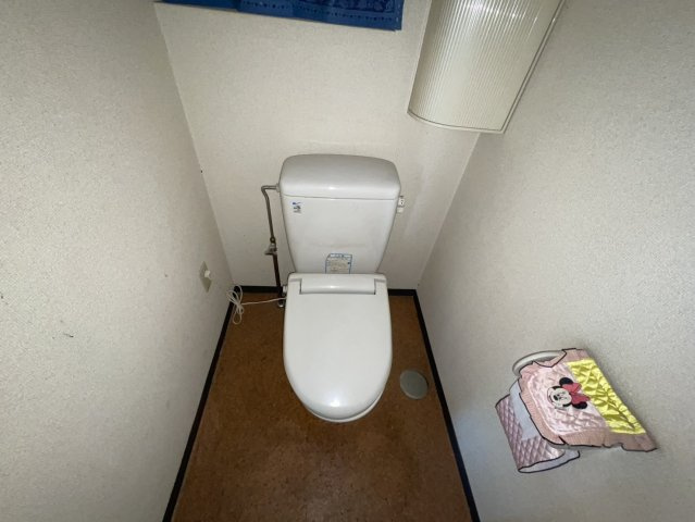 ヒナバシヒルのトイレ