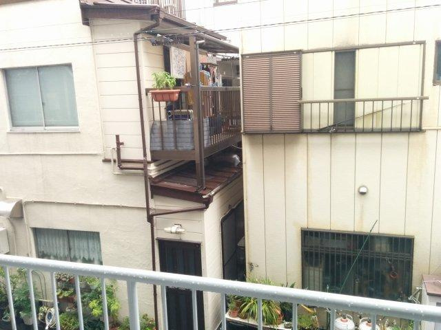 ハイネス成輪の展望
