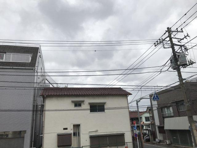 センターパレスの展望