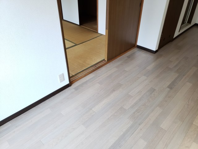 ダイアパレスのその他