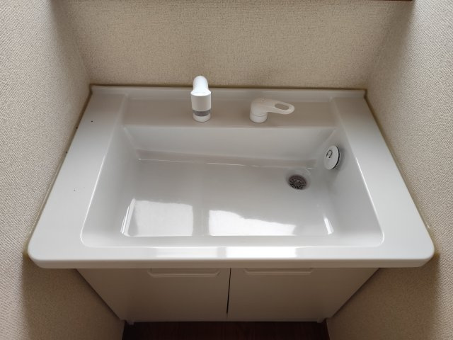 しゅんせいハイツⅡの洗面所