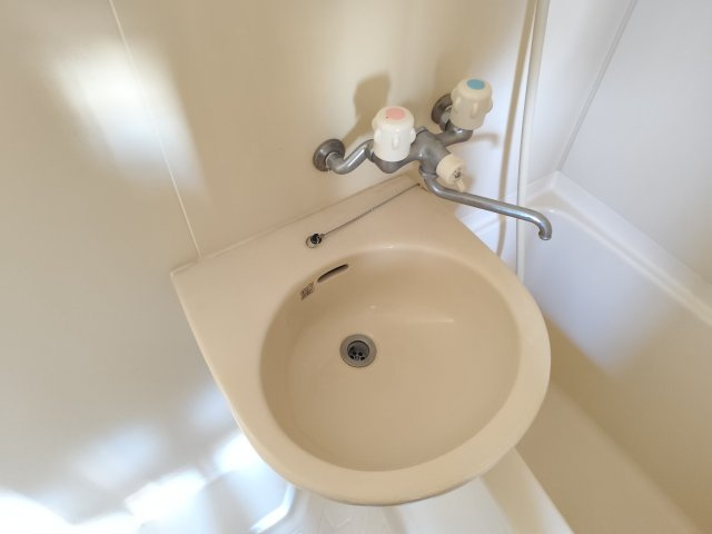 レーベンスガーデンの洗面所