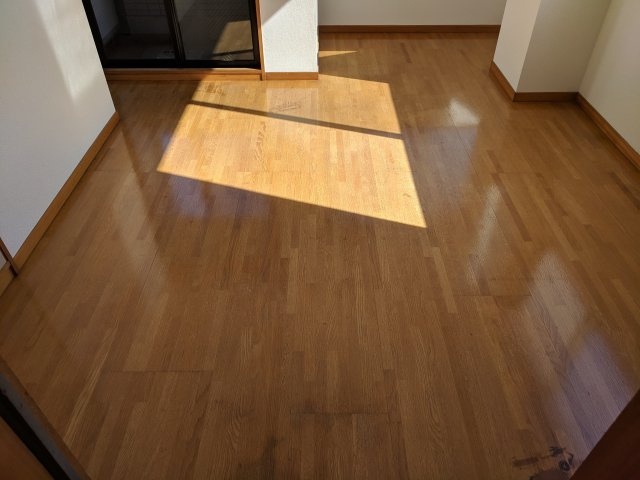 アルファコアのその他