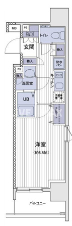 エスティメゾン大島