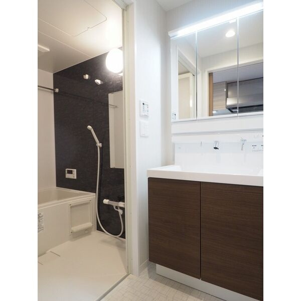 ロータス本陣通の独立洗面台