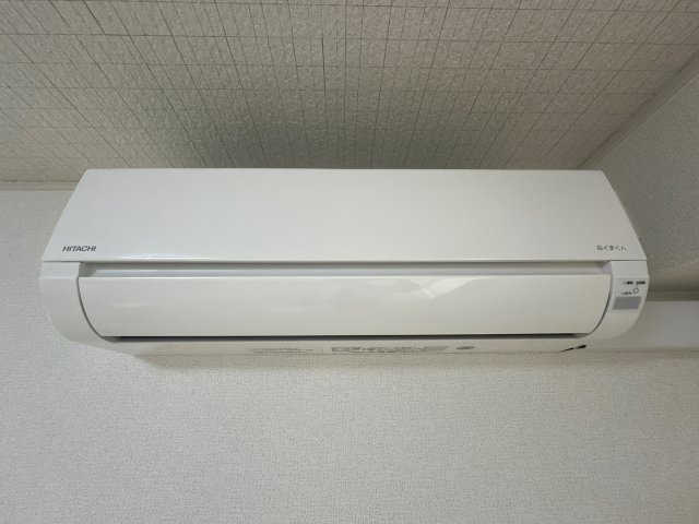 プラシードの設備