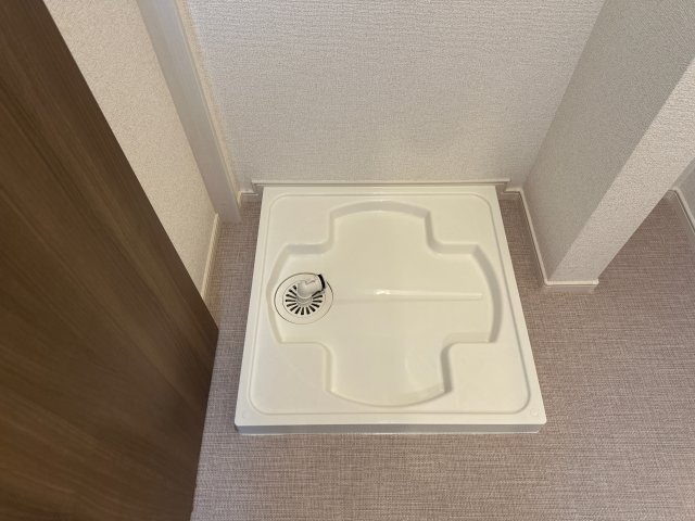 プラシードのその他
