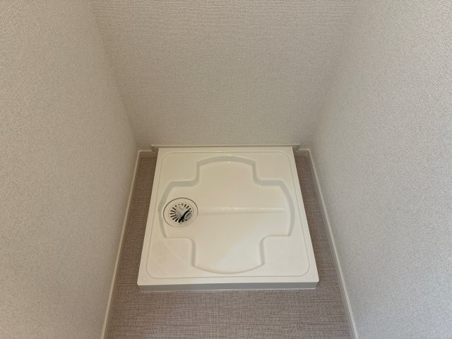 プラシードのその他