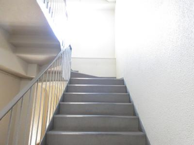 パラータ二条の外観|階段
